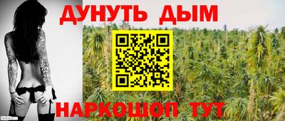 гашик Жуковский