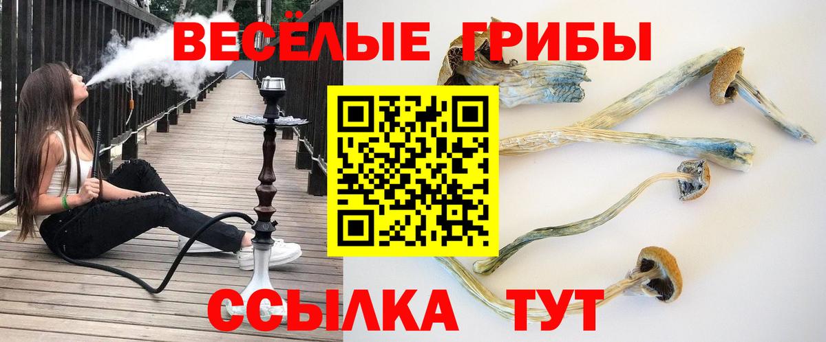 Галлюциногенные грибы MAGIC MUSHROOMS Кызыл